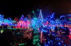冬限定・地元の人で混雑するバンデューセン植物園のイルミネーション”Festival of Lights”